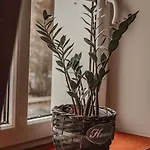 Orzel Отель типа 