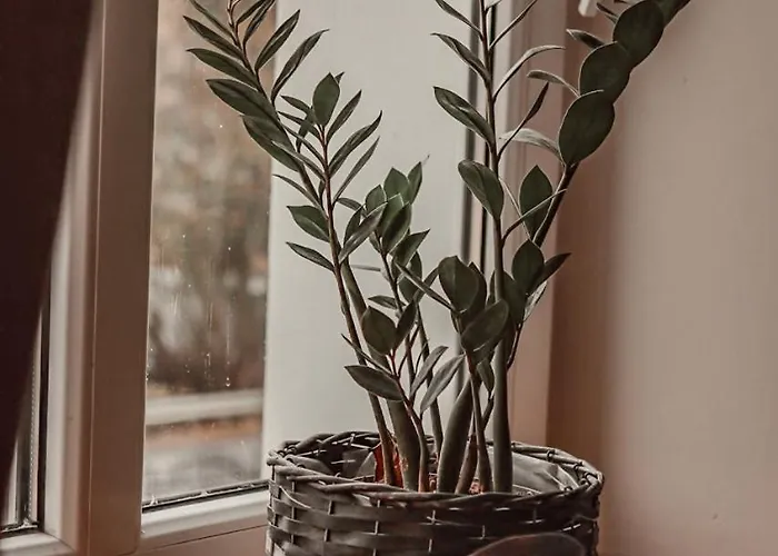 Orzeł Nocleg ze śniadaniem